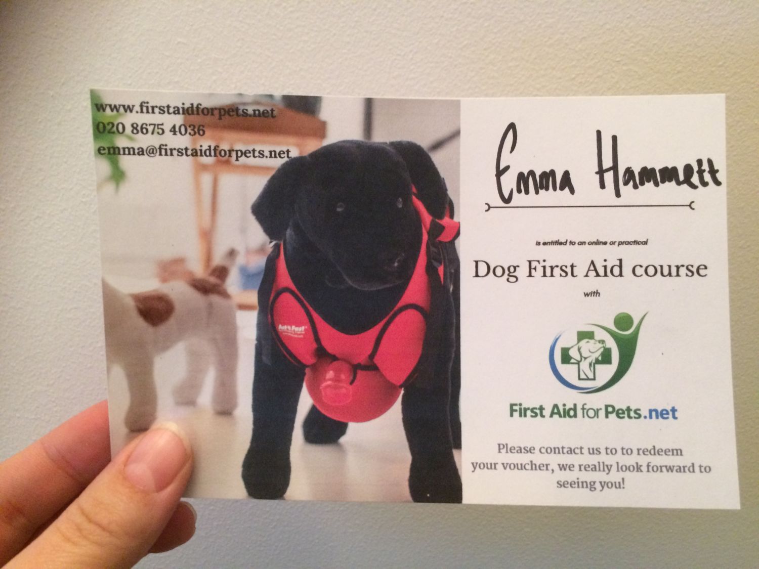 First Aid for Pets - Gift Vouchers